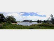 Flusslandschaft mit ruhigem Wasser, umgeben von dichter Vegetation und Bäumen auf beiden Seiten. Am Ufer ist eine schmale, grasbewachsene Fläche mit einem kleinen Pfad sichtbar, und der Himmel ist teilweise bewölkt.