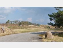 Eine offene Landschaft mit einer asphaltierten Straße im Vordergrund, umgeben von grasbewachsenen Hügeln, Bäumen und vereinzelten Felsen. Der Himmel ist teils bewölkt.