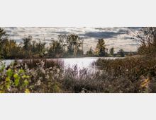 Ein See mit Schilf und Gräsern im Vordergrund, umgeben von Bäumen im herbstlichen Laub. Der Himmel ist teils bewölkt, und das Wasser reflektiert das Licht; im Hintergrund ist ein Gebäude sichtbar.