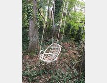 Ein hölzernes Schaukelgestell mit geflochtenen Seilen hängt zwischen zwei mit Efeu bewachsenen Bäumen in einem dicht bewachsenen Wald mit Laubboden und grüner Untervegetation.