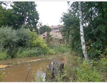 Bewaldete Szenerie mit einem kleinen, trüben Fluss im Vordergrund, umgeben von Bäumen und dichtem Grün. Im Hintergrund ist ein teilweise verdecktes, altes Backsteingebäude mit roten Dachziegeln zu sehen.