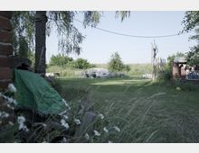 Weitläufiger Garten mit Rasenfläche, umgeben von Bäumen und Büschen. Im Hintergrund stehen ein kleines Gewächshaus, ein Holzzaun und Gartenmöbel; im Vordergrund sind Wildblumen und eine mit einer Plane abgedeckte Struktur zu sehen.