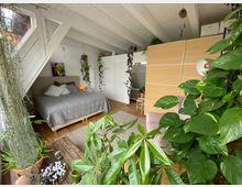 Ein Dachgeschosszimmer mit sichtbaren Holzbalken, einem Bett mit grauer Decke, vielen Zimmerpflanzen und Holzboden. Im Hintergrund befindet sich ein heller Schrank sowie ein Raumteiler aus Holz, der den Wohnbereich abtrennt.