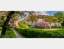Grüne Wohnsiedlung mit einem gepflegten Garten, der von Hecken und einem blühenden Baum mit rosa Blüten dominiert wird. Im Hintergrund sind Wohngebäude mit roten Ziegeldächern und gelblichen Fassaden zu sehen.
