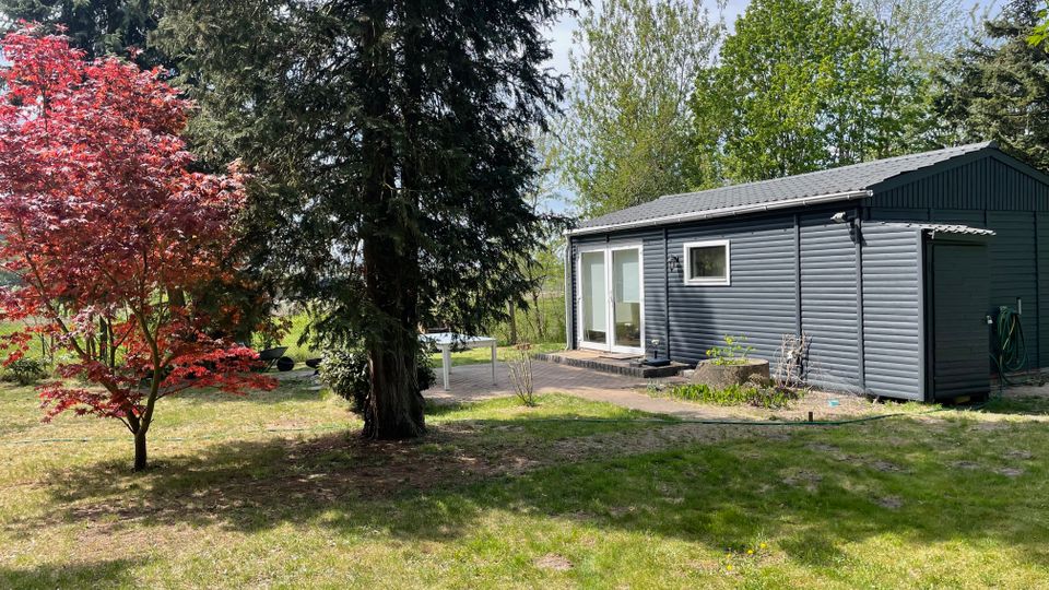 Garten mit Rasenfläche und hohen Nadelbäumen neben einem dunkelgrauen Holz-Gartenhaus mit Satteldach, Schiebetürfenster und kleiner gepflasterter Terrasse. Links steht ein kleiner Baum mit roten Blättern; am Haus ist ein Schlauchhalter und ein seitlicher Eingang zu sehen.