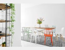 Heller, moderner Raum mit einem Holztisch, umgeben von bunt gemischten Stühlen in verschiedenen Designs. Im Hintergrund befindet sich eine weiße Wand, während ein Regal mit Pflanzen und Flaschen den linken Bildrand ziert.