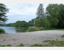 Sandstrand an einem See, umgeben von grüner Vegetation und hohen Bäumen; im Hintergrund dichter Wald und eine ruhige Wasseroberfläche.