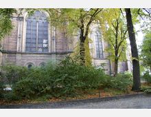 Außenansicht einer historischen Kirche mit großen gotischen Fenstern und Backsteinfassade, umgeben von Bäumen und Sträuchern. Im Vordergrund ist ein gepflasterter Gehweg zu sehen.