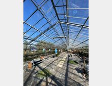 Ein großes Gewächshaus mit einem gläsernen Dach und Metallrahmen; der Boden ist teils mit Holzplanken bedeckt, teils bewachsen. Vereinzelt sind Pflanzen, Holzmöbel und an den Wänden befestigte Bilder zu sehen.