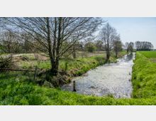 Ein schmaler Wassergraben schlängelt sich durch eine ländliche Wiesenlandschaft, gesäumt von kahlen Bäumen und grünen Gräsern. Im Hintergrund sind weitere Bäume und ein Feld sichtbar, unter einem klaren Himmel.