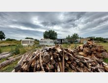 Ein ländliches Gelände mit alten Wohnwagen im Hintergrund, umgeben von hohem Gras und Bäumen. Im Vordergrund liegt ein großer Holzstapel aus Baumstämmen und gesägten Holzstücken.