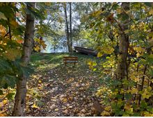Ein herbstlicher Waldweg führt durch bunt gefärbte Bäume zu einer Bank mit Blick auf einen See im Hintergrund. Laub bedeckt den Boden, und ein kleines Holzschild mit der Aufschrift "Privat" steht rechts am Weg.