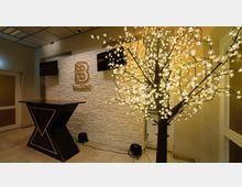 Ein moderner Empfangsbereich mit einer verzierenden Steinwand, auf der das Logo "Balcony" in goldenen Buchstaben angebracht ist. Im Vordergrund steht ein schwarzer Tresen mit geometrischen Mustern, daneben ein beleuchteter Dekobaum mit leuchtenden Blüten.