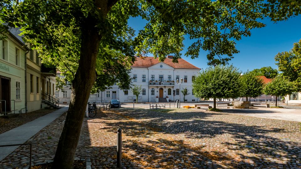 Gepflasterter Stadtplatz mit großen Laubbäumen und Baumschatten, umgeben von niedrigen historischen Gebäuden. Im Hintergrund steht ein weißes Rathaus mit rotem Satteldach und symmetrischer Fassade, links ein Gebäude mit der Aufschrift „Stadtbibliothek“.
