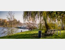 Grüne Parklandschaft mit einer Holzbank unter einem tiefhängenden Weidenbaum am Ufer eines Flusses. Im Hintergrund sind mehrere Boote an einem kleinen Hafen vertäut.