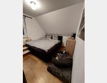 Schlafzimmer mit einem Bett unter einer schrägen Decke, links ein kleines Fenster mit Vorhangstange. Rechts neben dem Bett steht ein Holzschrank, daneben ein Hundebett auf einem erhöhten Untergrund mit einer Decke und einem Stofftier. Holzboden und einfache Deckenbeleuchtung.