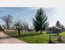 Ländliche Landschaft mit einer Wiese, auf der einzelne Laubbäume und Tannen stehen, sowie einem kleinen Schuppen mit Wellblechdach. Im Vordergrund verläuft ein schmaler Feldweg, umliegende Bereiche sind von Zäunen und teils hohem Gras umgeben.
