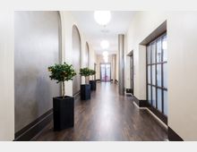 Heller, moderner Flur mit Holzboden, hohen Decken und runden, hängenden Deckenleuchten. Auf beiden Seiten des Flures stehen in schwarzen Pflanzgefäßen dekorative Orangenbäume, während rechts Fenster mit Holzrahmen und links große, bogenförmige Wandnischen sichtbar sind; am Ende des Flures befindet sich eine Glastür.