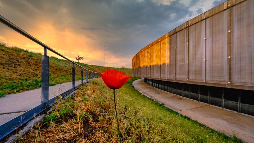 Gebogener Fußweg entlang eines modernen Gebäudes mit perforierter Metallfassade, daneben ein Geländer und eine begrünte Böschung. Im Vordergrund steht eine einzelne rote Mohnblüte, darüber ein dramatisch bewölkter Himmel im Abendlicht.