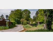 Schmaler, gewundener Weg in einer ländlichen Umgebung, gesäumt von Bäumen, Sträuchern und Zäunen. Rechts stehen kleine Gebäude und Gartenhäuschen, während im Vordergrund ein großer Baum mit Efeubewuchs sichtbar ist.