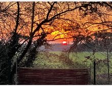 Sonnenuntergang hinter dünnen Ästen eines Baumes, mit einem Feld und einem Wald im Hintergrund. Im Vordergrund steht ein Flechtzaun aus Holz.