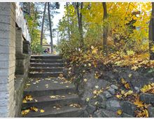 Steintreppe in einem herbstlichen Garten oder Park, flankiert von einer Mauer aus grobem Mauerwerk auf der linken Seite und Laubbäumen mit gelbem Herbstlaub auf der rechten Seite. Im Hintergrund sind weitere Bäume und ein Gebäude erkennbar.