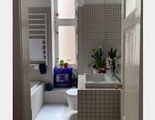 Minimalistisches Badezimmer mit weißen, quadratischen Fliesen an den Wänden und Böden. Es gibt ein Fenster mit Milchglas, eine Badewanne, ein Waschbecken und eine Toilette; mehrere grüne Zimmerpflanzen stehen auf den Abstellflächen, und ein blau-weißer Chanel-Beutel ist sichtbar.