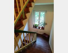 Treppenhaus mit Holz- und Fliesenstufen, einem grün-weißen Geländer und einem Fenster mit Blick ins Grüne. Auf der Fensterbank stehen mehrere Topfpflanzen, daneben befindet sich eine kleine Sitzbank.