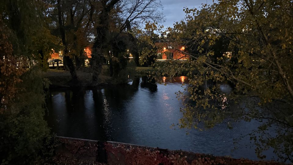Abendliche Ansicht eines kleinen Teichs oder Flussarms, umgeben von hohen Bäumen mit herbstlichem Laub. Im Hintergrund sind beleuchtete Gebäude und Straßenlampen zu sehen, deren Licht sich auf der dunklen Wasseroberfläche spiegelt.