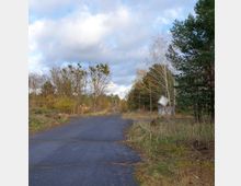 Eine verlassene asphaltierte Straße, umgeben von spärlich bewachsenen Grasflächen, Bäumen und Sträuchern, mit einem verbogenen Straßenschild am rechten Rand. Im Hintergrund sind dichte Bäume und ein bewölkter Himmel sichtbar.
