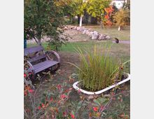 Ein kleiner Garten mit einer rustikalen Holzbank links, neben einem Baum mit roten Beeren. Im Vordergrund steht eine alte Badewanne, die als Pflanzgefäß mit hohen Gräsern genutzt wird. Im Hintergrund sind eine Steinreihe, weitere Bäume mit Herbstlaub und eine Katze sichtbar.