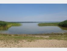 Seeufer mit Sandstrand im Vordergrund, grasbewachsenen Uferbereichen und Schilf rechts und links, ruhiger See mit klarem Wasser und Wald am fernen Horizont unter leicht bewölktem Himmel.