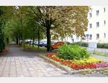 Gehweg mit Bäumen und Blumenbeet in einer städtischen Umgebung. Im Hintergrund sind parkende Autos und ein mehrstöckiges Wohnhaus mit heller Fassade zu sehen.