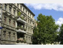 Altbau-Fassadenansicht mit verzierten Fenstern und Balkonen, teils mit Pflanzen dekoriert, neben einem großen grünen Baum unter blauem Himmel mit weißen Wolken.