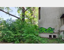 Seitenansicht eines verputzten Gebäudes mit Graffiti in grüner Farbe auf der Wand sowie zwei kleinen, vergitterten Kellerfenstern. Im Vordergrund dichte grüne Vegetation mit Büschen und Bäumen.