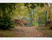 Metalltor in einem herbstlichen Wald, umgeben von Laubbäumen und einem mit Blättern bedeckten Pfad. Im Hintergrund liegen Laubhaufen und Grünflächen.