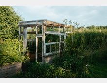 Verlassenes Gewächshaus aus Holz und Glas mit verwittertem Rahmen, umgeben von hohen Gräsern und üppiger Vegetation in einer natürlichen, ländlichen Umgebung.