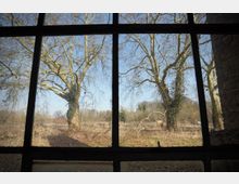 Blick durch ein großes, schwarz gerahmtes Fenster aus einem Backsteingebäude auf eine offene Wiese mit kahlen Bäumen, teils mit Efeu bewachsen, unter blauem Himmel. Im Hintergrund sind ein niedriger Waldrand und ein rundes Objekt wie ein Heuballen oder Betonelement zu sehen.