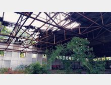 Eine verlassene Industriehalle mit beschädigtem Dach, durch das Tageslicht und Vegetation hindurchscheinen. Die Wände sind mit Graffiti bedeckt, und im Inneren wächst dichter Wildwuchs.