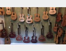 Eine Wand mit verschiedenen akustischen Gitarren und Harfengitarren, die dicht nebeneinander an Haken hängen. Der Hintergrund ist mit gemustertem Tapetenstoff bedeckt, und die Instrumente zeigen unterschiedliche Designs und Holzfarben.