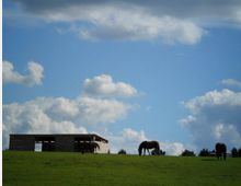 Grüne Wiese mit drei grasenden Pferden, im Hintergrund eine einfache Holzhütte und blauer Himmel mit vereinzelten Wolken.