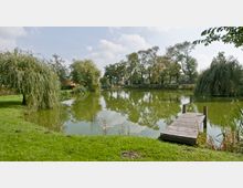 Teich in einer grünen Parklandschaft mit einem Holzsteg am Ufer, umgeben von Weiden und Laubbäumen, deren Spiegelung auf der Wasseroberfläche sichtbar ist. Der Himmel ist leicht bewölkt.