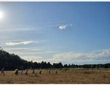 Kinder laufen in einer Wiese mit hohem, trockenem Gras, umgeben von Bäumen und Feldlandschaft unter einem sonnigen, wolkigen Himmel. Im Hintergrund sind vereinzelt Häuser und Gärten erkennbar.