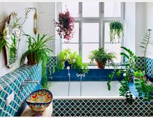 Helles Badezimmer mit großem Fenster, das eine weiße Badewanne umrahmt, flankiert von Pflanzen in Töpfen und hängenden Körben. Die Wände und Badewanne sind mit blauen Kacheln im marokkanischen Muster verkleidet, daneben ein bunt gemustertes Waschbecken und dekorativer Spiegel.