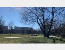 Ein Park mit einer großen Rasenfläche, vereinzelten Bäumen ohne Laub und einem Gehweg im Vordergrund. Im Hintergrund sind mehrere Wohngebäude sowie Parkbänke mit Menschen zu sehen, bei sonnigem Wetter.