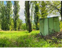 Grüne Parklandschaft mit hohen, schlanken Bäumen und einer alten, verwitterten Metallstruktur im Vordergrund, umgeben von Ästen und Gras. Im Hintergrund offene Wiesen unter einem blauen Himmel mit Wolken.