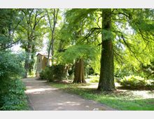Ein grüner Park mit dichtem Baumbestand und einem schmalen, geschwungenen Gehweg, der zu einem kleinen gelben Gebäude im Hintergrund führt. Der Boden ist teilweise mit Moos und Gras bewachsen, und große Bäume sind von Efeu umrankt.