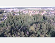 Luftaufnahme eines bewaldeten Gebiets am Rand einer Wohnsiedlung. Im Hintergrund sind Häuser mit roten Dächern, Gartenflächen und offene Felder zu erkennen, umgeben von einer ländlichen Landschaft.