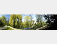 Grüne Parklandschaft mit einem kleinen See, umgeben von Bäumen, darunter eine große Trauerweide. Im Hintergrund ist ein weißes Gebäude mit klassizistischer Architektur zu sehen, und gepflasterte Wege verlaufen entlang des Wassers.