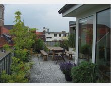 Eine Dachterrasse mit grauen Fliesen, umgeben von grünen Pflanzen in Töpfen, ausgestattet mit einer Holzsitzgruppe und Blick auf benachbarte Gebäude mit roten Dächern. Rechts im Bild ist eine große Glasfassade eines Hauses zu sehen.